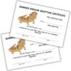 Bearded Dragon Adoption Certificate | 30pk 4x6” Pet Store Exotic Reptile Animal Adoption Lizard Childrens Take Care of Pets Vet Rescue Paper