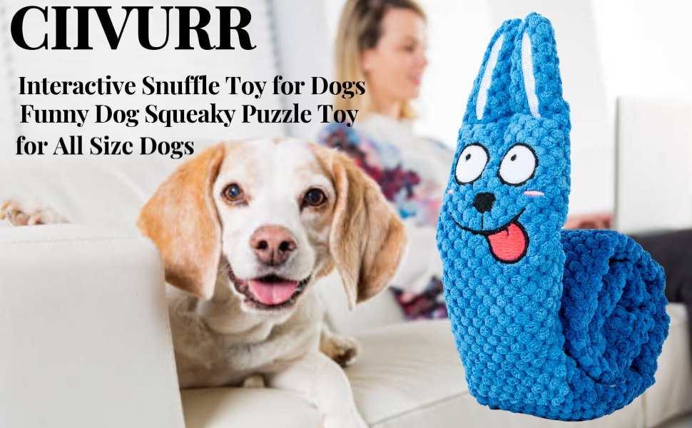 Squeaky Dog Toys 