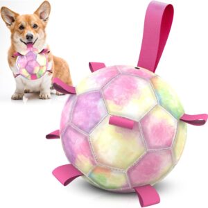 HETOO Dog Toys Soccer Ball with Straps, Puppy Balls Dog Balls for Small Medium Dogs, Dog Toy Puppy Dog Birthday Gifts, Dog Water Toy - Rainbow（6 Inch）