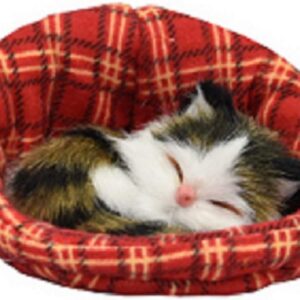 KandyToys Small Kitten In Basket (6 Designs - One Sent at Random)