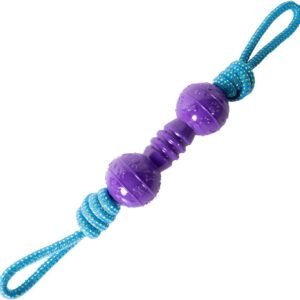 Ministry of Pet M.O.P. Rope Dog Toy, Durable Dog Tug of War Toy, Puppy Training Tug Toy - Medium & Large Dog Breeds, Purple/Blue