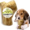 Woodbone Coffee Tree Root Dog Chew for Puppies - Natural Wood Puppy Teething Chewing Toy - Size XS