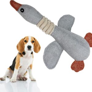 Affectionate Pets Cute Wild Goose Squeaky Dog Toys for Small to Medium Dogs, Soft Dog Plush Toy, Puppy Toys for Clean Teeth and Training, Dog Mental Stimulation Toys for Boredom (Grey)