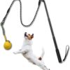 TEKCAM Dog Flirt Pole Extendable Teaser Wand with Interactive Dog Ball Tug Toy Outdoor Pet Flirt Stick Chew Toy Tether Lure Toys for Small Medium Large Dogs Training Pulling Exercise