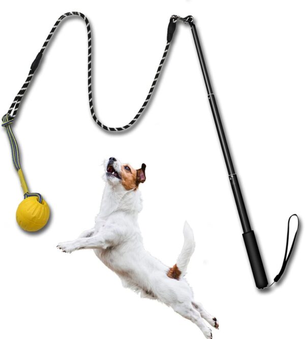 TEKCAM Dog Flirt Pole Extendable Teaser Wand with Interactive Dog Ball Tug Toy Outdoor Pet Flirt Stick Chew Toy Tether Lure Toys for Small Medium Large Dogs Training Pulling Exercise