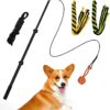Zttark Dog Flirt Pole Interactive Toys for Dogs Chase and Drag, Durable Teaser Wand,Outdoor Exercise Training Chewing for Small Medium Large Dogs (Black)