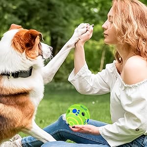 indestructible dog toy