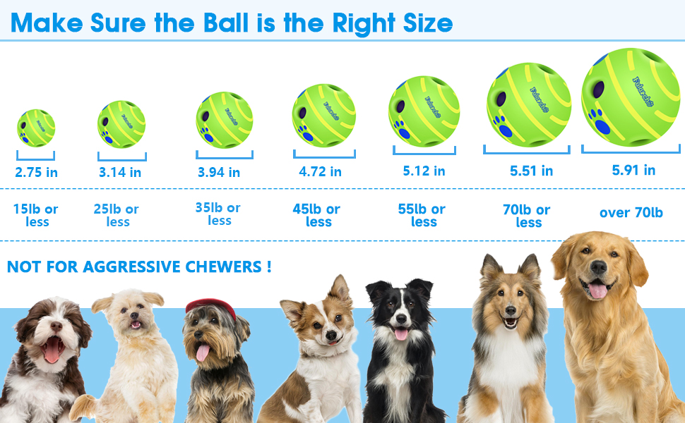 interactive toys for dogs