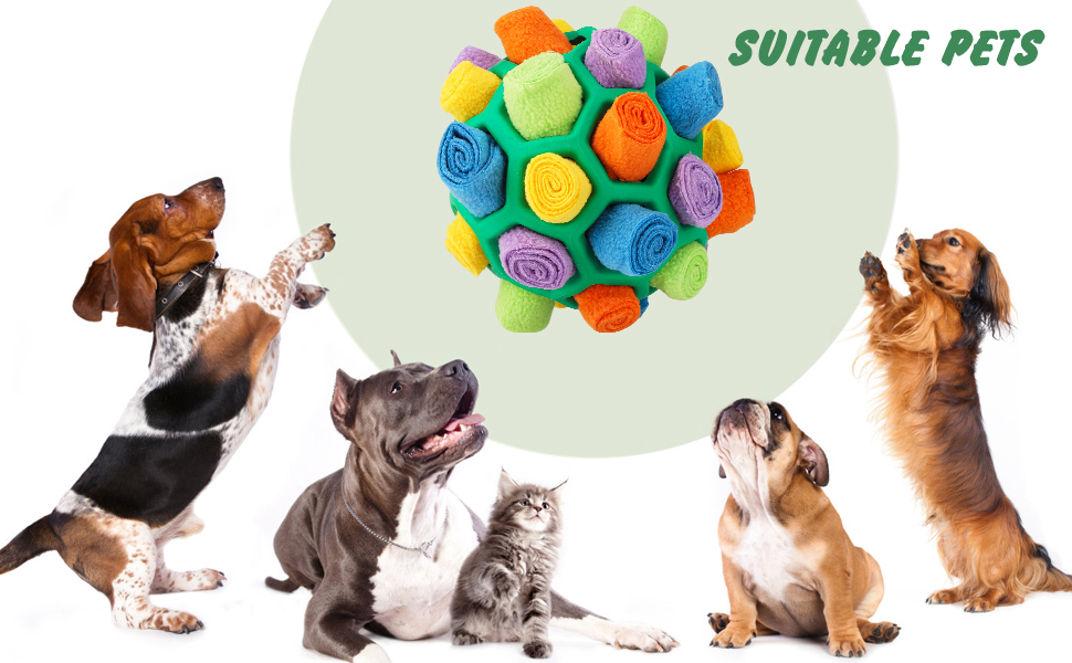 Interactive Dog Puzzle Toys