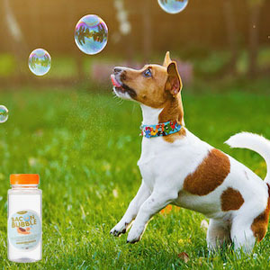 bubble for dogs