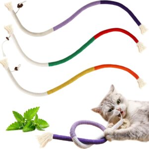 YUDANSI Catnip Toys for Indoor Cats, Snaky Rope Toys with Gall Fruit for Cat Playing Chewing Teeth-Cleaning, Interactive Cat Chew Toy in Assorted Colors for Teething Pets, 3Pcs, No-Squeaky