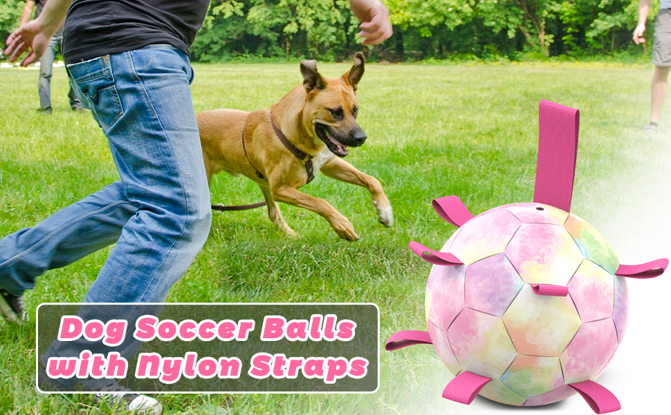 dog soccer balls