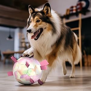 indoor dog toys