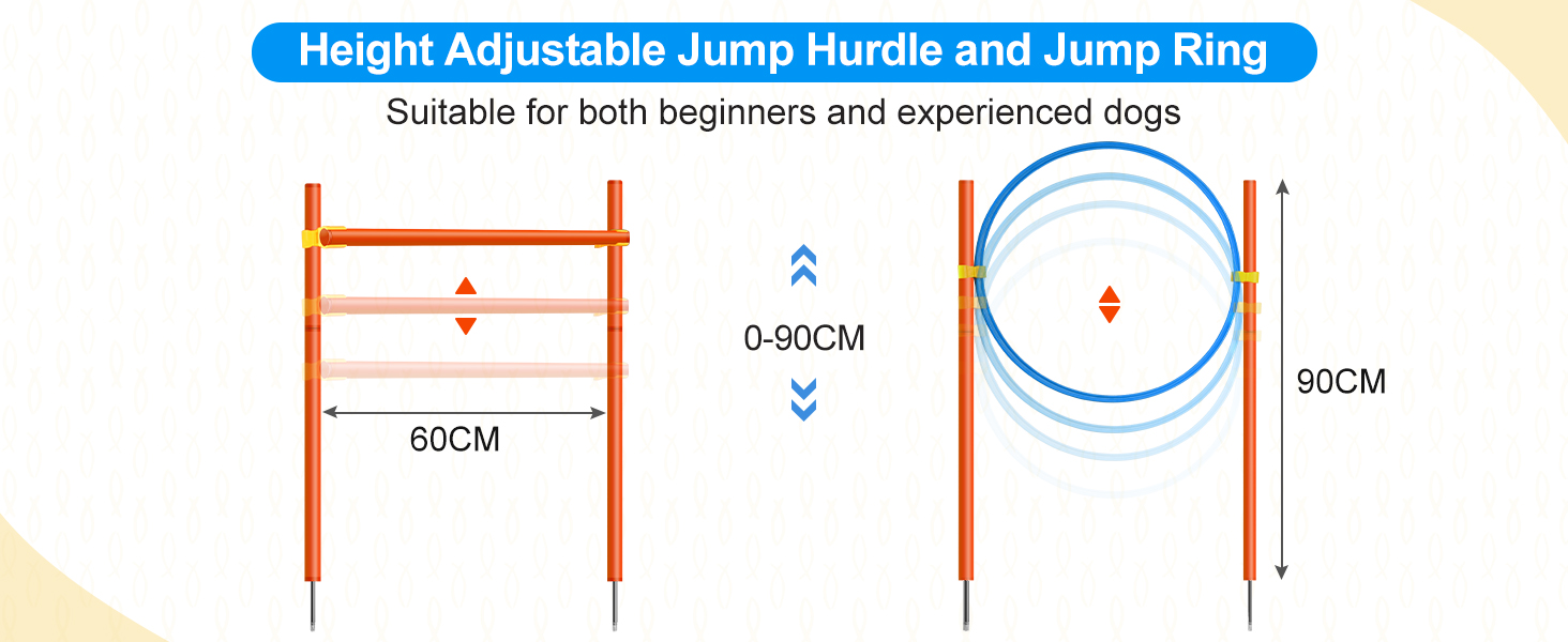 dog agility kit