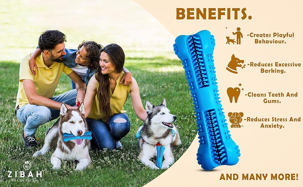 cat toothbrush pups small dog oral teething toys dog enrichment toy dog treat paw cleaner toothbrush