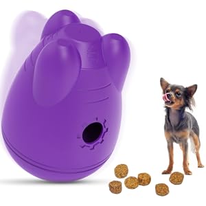 Dog Toys, Football - Small Large puppy playing with Gift football grab tabs. Outdoor toy for boredom