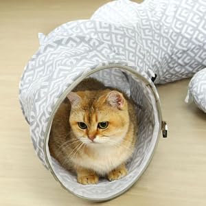 cat tunnel