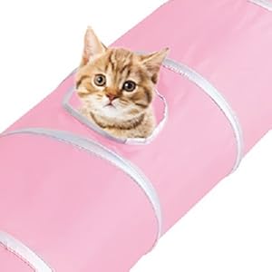 Cat tunnel