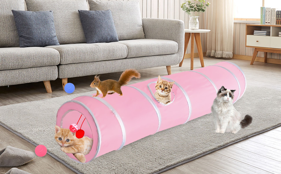 pet tunnel