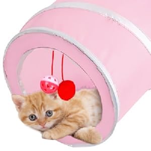 Cat unnel