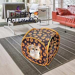 Cute Pumpkin Pattern