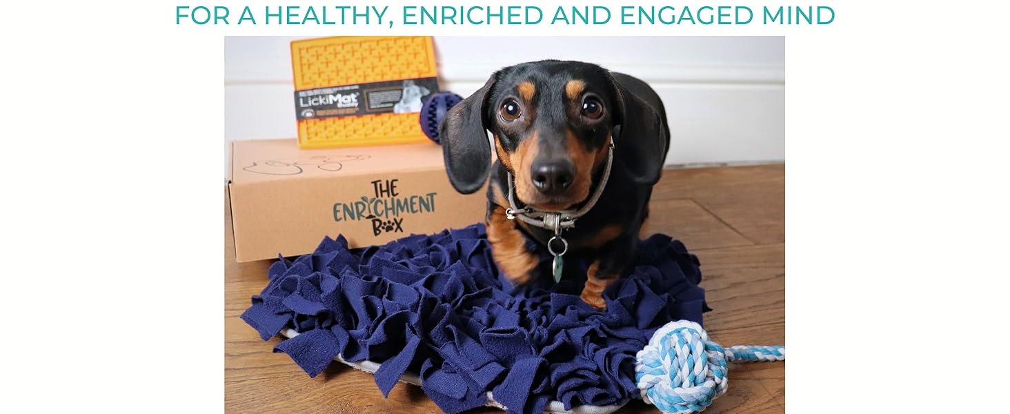 dog snuffle mat for puppies with enrichment items