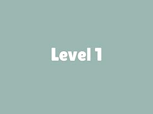 level 1