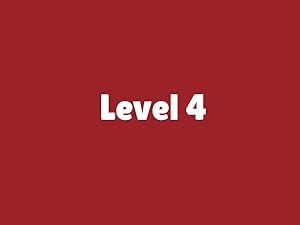 Level 4