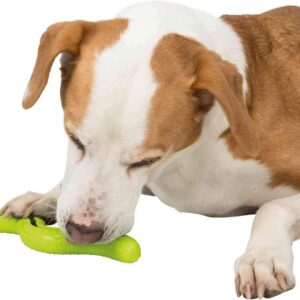 Trixie Snack Snake, treat activity toy for dogs