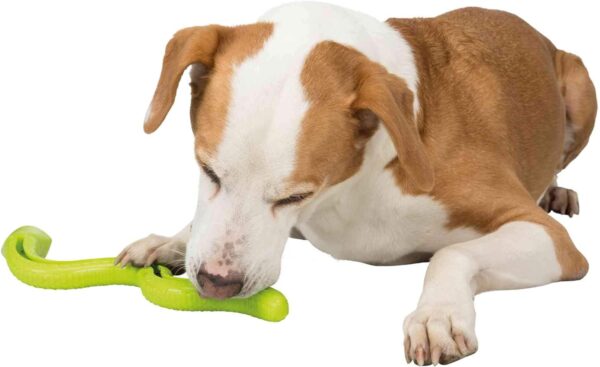 Trixie Snack Snake, treat activity toy for dogs