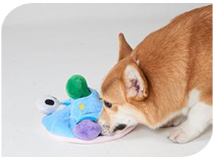 anxiety toys for dogs