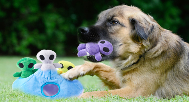 educational toys for dogs