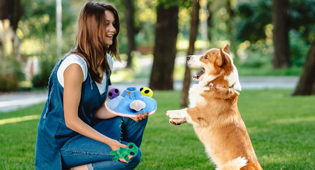 squeaky dog toy