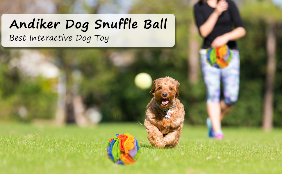 dog snuffle ball