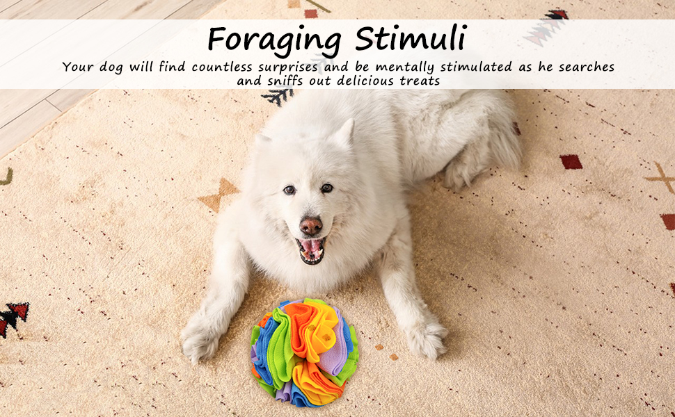 dog snuffle ball