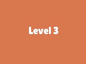 Level 3