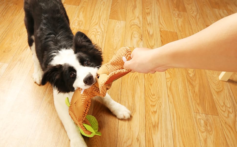 snuffle mat for dogs