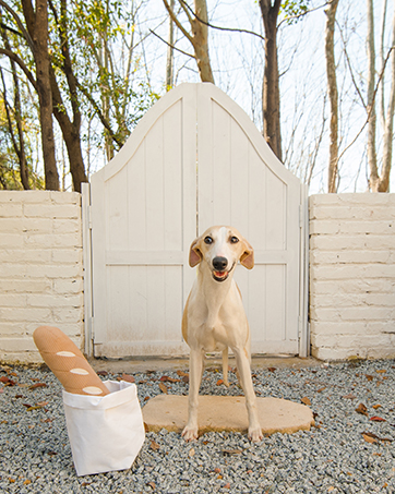 baguette dog toy