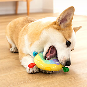 chew dog toy