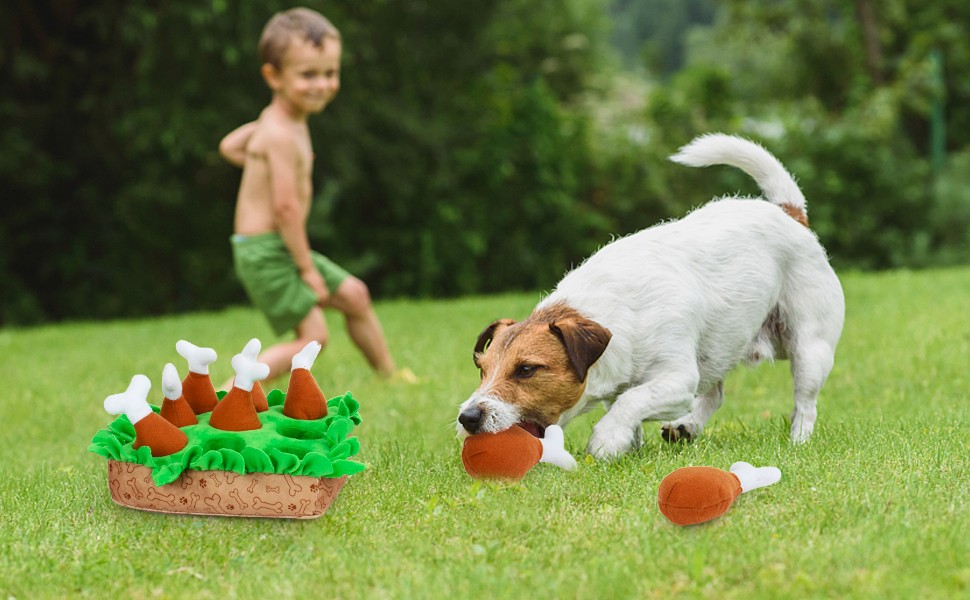 dog snuffle toys