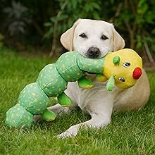 Dog holding caterpillar toy