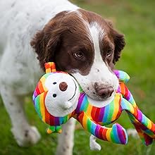 Dog carrying monkey toy