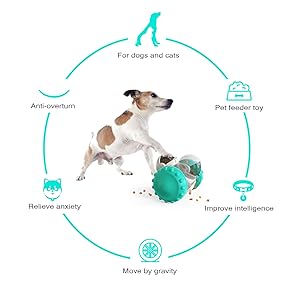 Pet Tumbler Toy Function Introduction