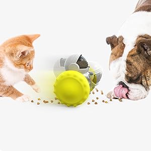 Pet Puzzle Toy