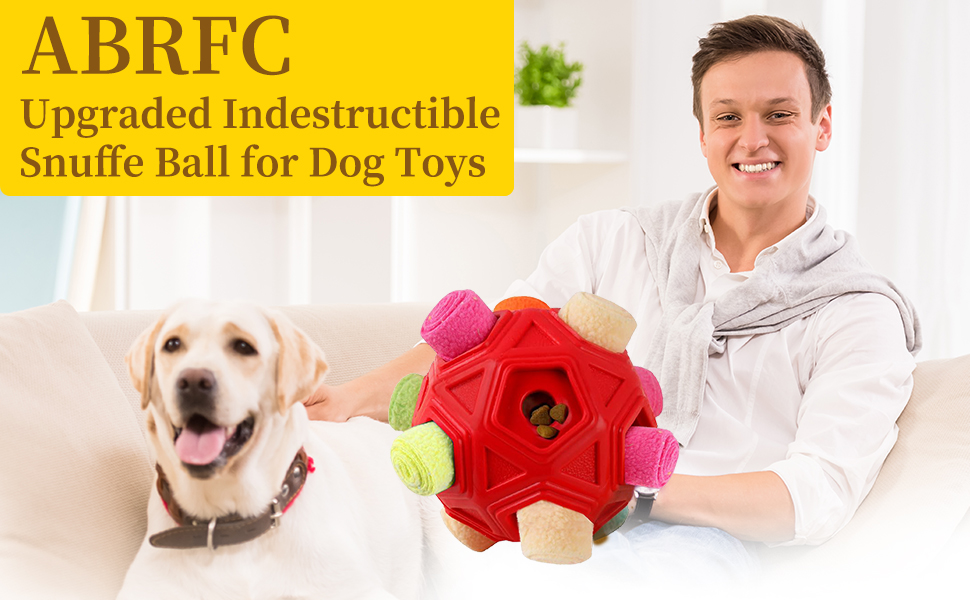 Interactive Dog Snuffle Ball