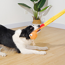 fUNNY INTERACTIVE DOG TOY