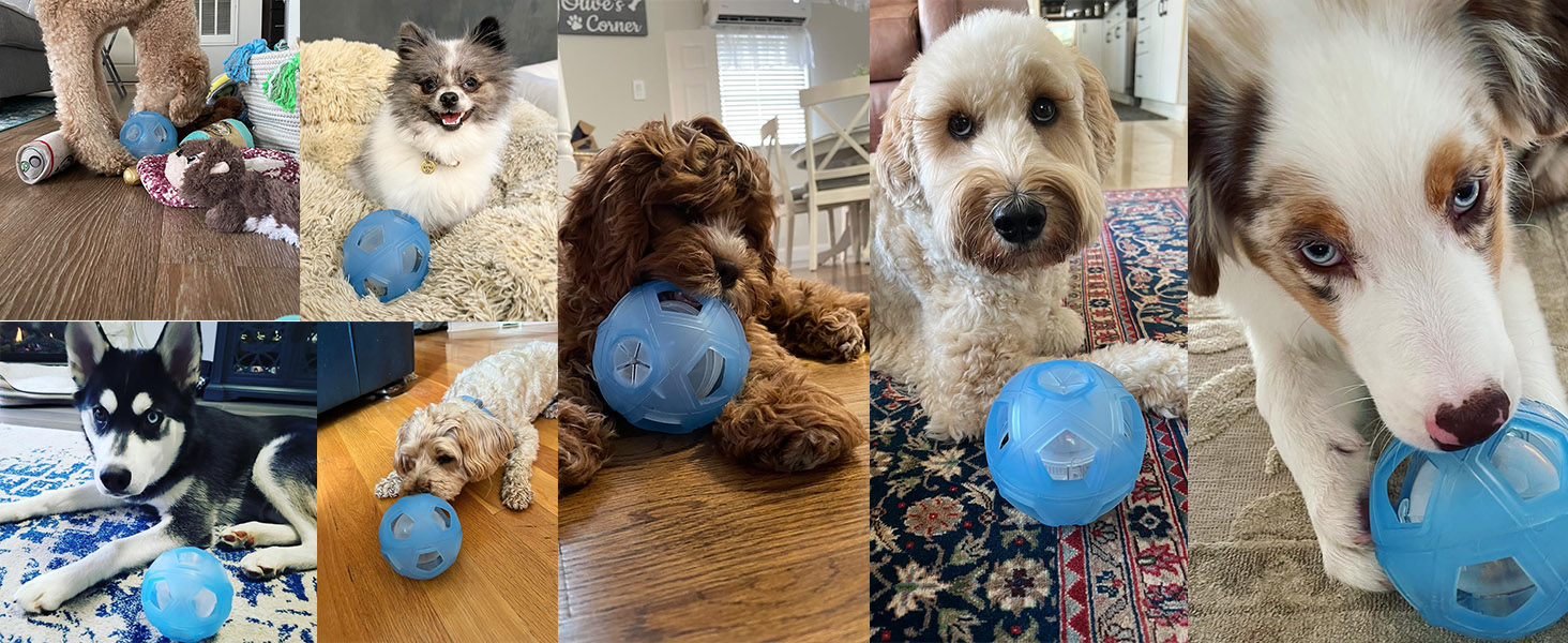 LumoLeaf Interactive Dog Treat Ball