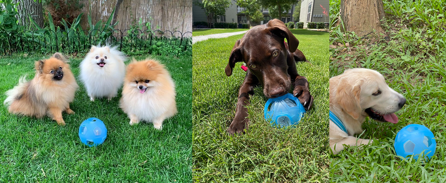 LumoLeaf Interactive Dog Treat Ball