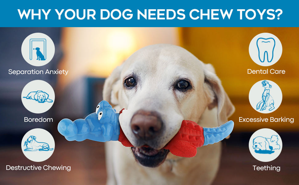 dog chew toy