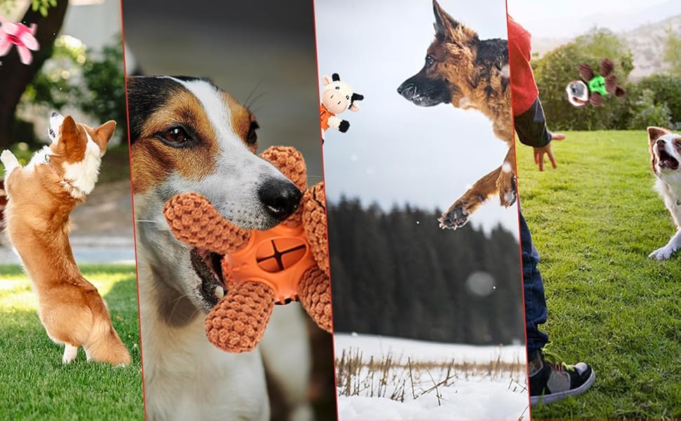 Treat Dispenser Toys for Dogs for Cleaning Teeth 